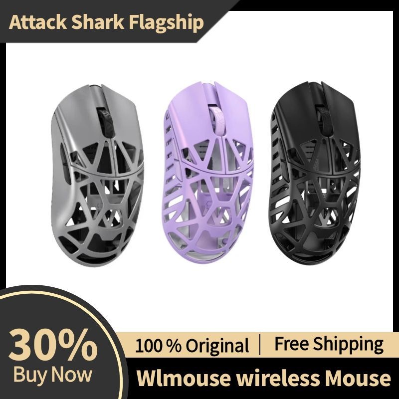 Wlmouse Beast X Mini Pro Magne - Gaming Accessories Online review and price