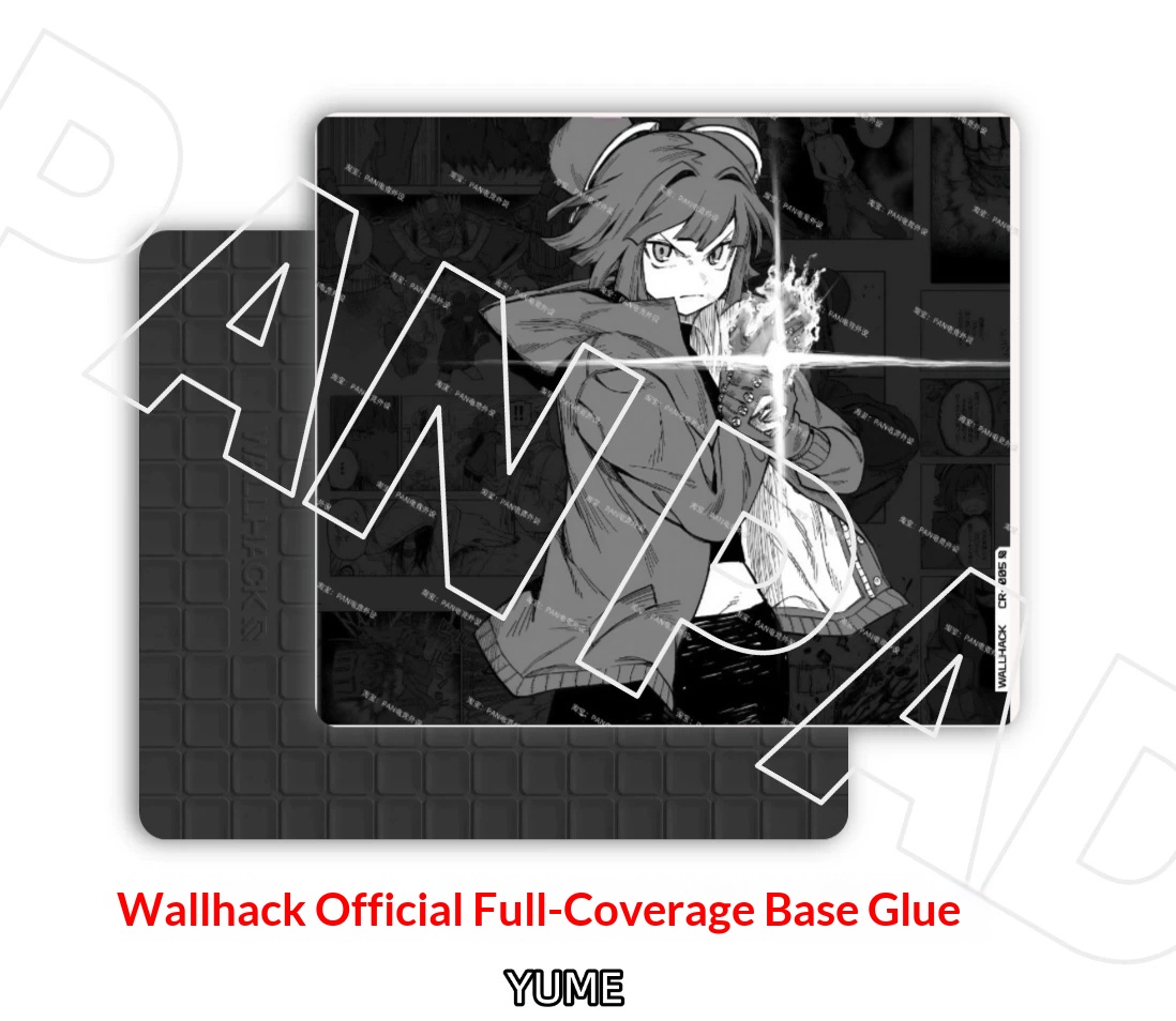 PAN Esports Wallhack CR-005 Gl - Gaming Accessories For Valorant review and price
